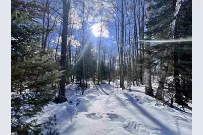 Nejedlo Road, Wausaukee, WI 54177 - Photo 4