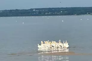 1751 E Shore Cir, Green Bay, WI 54302 - Photo 82