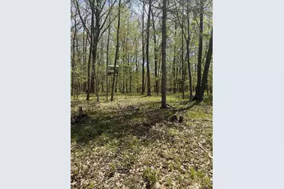 N11266 Rhett Lane, Wausaukee, WI 54177 - Photo 6