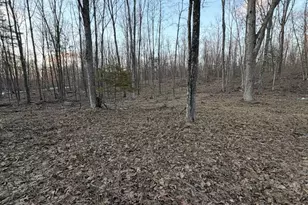 Rhett Ln, Wausaukee, WI 54177 - Photo 1