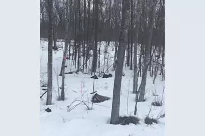 Rhett Lane, Wausaukee, WI 54177 - Photo 6