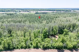 E5097 State Road 54, Weyauwega, WI 54983 - Photo 48