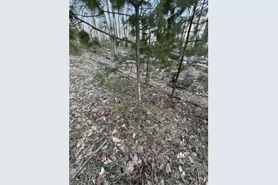 Lot 8 Rhett Lane, Wausaukee, WI 54177 - Photo 6