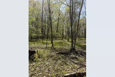 Rhett Lane, Wausaukee, WI 54177 - Photo 1