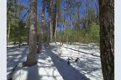 Buttercup Drive, Wautoma, WI 54982 - Photo 8