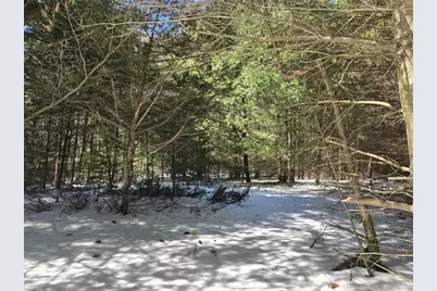 Buttercup Drive, Wautoma, WI 54982 - Photo 4