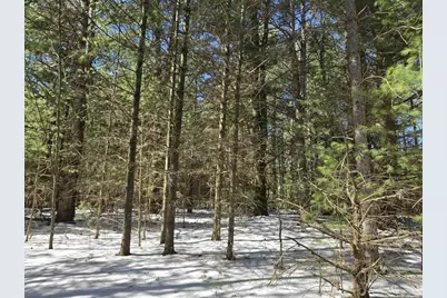 Buttercup Drive, Wautoma, WI 54982 - Photo 2