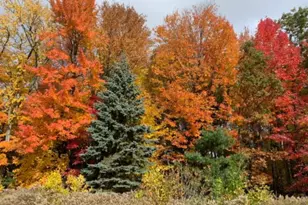 N423 Sandhill Ct, Fremont, WI 54940 - Photo 26