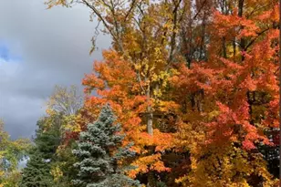 N423 Sandhill Ct, Fremont, WI 54940 - Photo 30