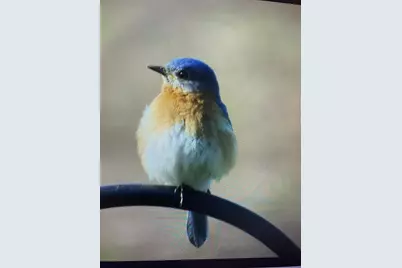 3128 Concordia Lane, Green Bay, WI 54311 - Photo 62