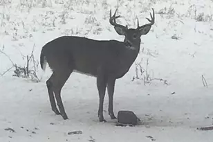 3128 Concordia Ln, Green Bay, WI 54311 - Photo 58