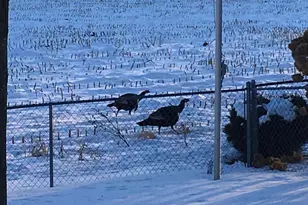 3128 Concordia Ln, Green Bay, WI 54311 - Photo 60