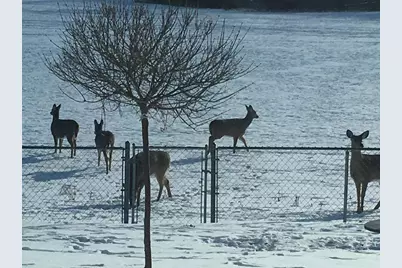 3128 Concordia Lane, Green Bay, WI 54311 - Photo 56