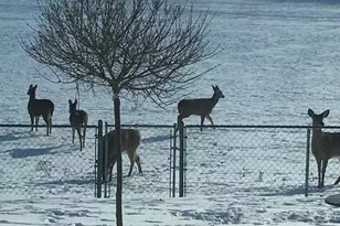 3128 Concordia Ln, Green Bay, WI 54311 - Photo 56