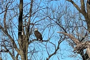 N9746 Highland Park Rd, Malone, WI 53049 - Photo 58