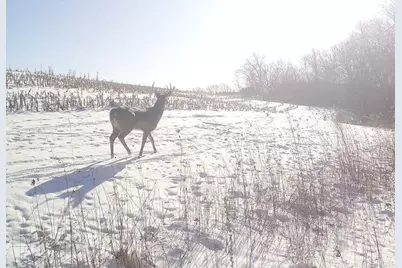 County Road E, Steuben, WI 54657 - Photo 6