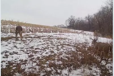 County Road E, Steuben, WI 54657 - Photo 4