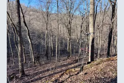 County Road E, Steuben, WI 54657 - Photo 76