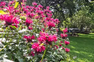 419 Maple Ln, Neenah, WI 54956 - Photo 16