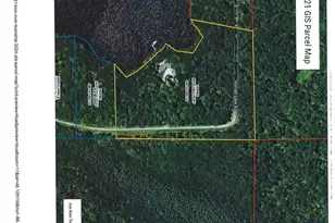 195 Homan Lk Rd, Iron River, MI 49935 - Photo 58