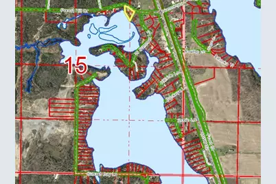 16781 Forest Hill Drive, Townsend, WI 54175 - Photo 68