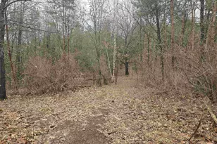 W4506 County Rd TT, Wild Rose, WI 54984 - Photo 40