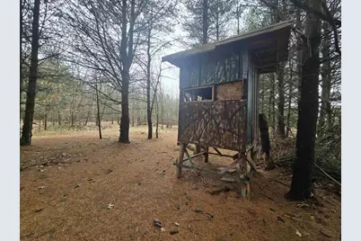 W4506 County Road Tt, Wild Rose, WI 54984 - Photo 26