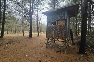 W4506 County Rd TT, Wild Rose, WI 54984 - Photo 26