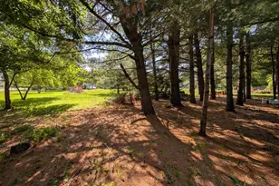 231 Wood St, Redgranite, WI 54970 - Photo 10