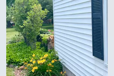 1035 Meadow Lane, Fond du Lac, WI 54935 - Photo 42