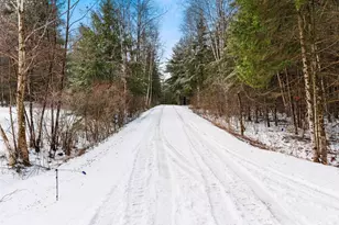 155030 Pine Bluff Rd, Wausau, WI 54403 - Photo 30