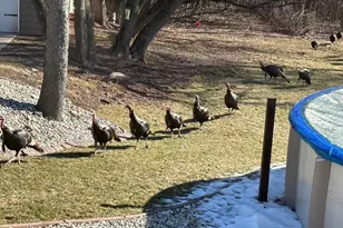 730 Aerostar Ln, Green Bay, WI 54313 - Photo 32