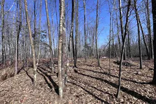 Rhett Ln, Wausaukee, WI 54177 - Photo 1