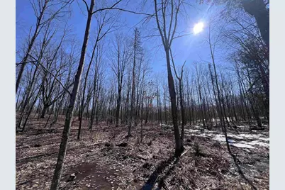 Rhett Lane, Wausaukee, WI 54177 - Photo 2