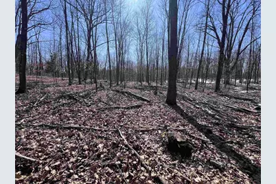 Rhett Lane, Wausaukee, WI 54177 - Photo 4