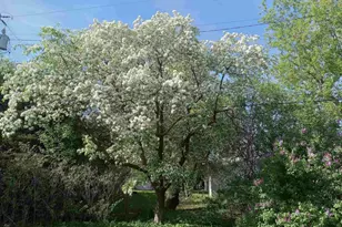 83 E 9th St, Fond du Lac, WI 54935 - Photo 38