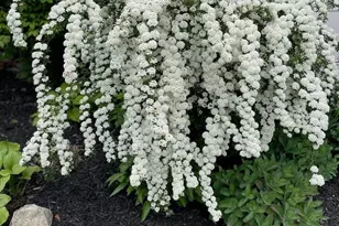 1400 Kellogg St, Green Bay, WI 54303 - Photo 40