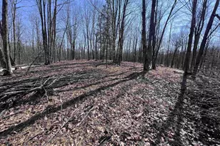 Rhett Ln, Wausaukee, WI 54177 - Photo 1