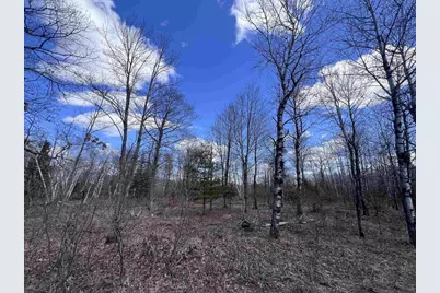 Nejedlo Road, Wausaukee, WI 54177 - Photo 1