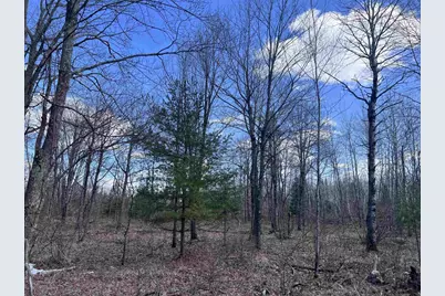 Nejedlo Road, Wausaukee, WI 54177 - Photo 4