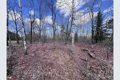 Nejedlo Road, Wausaukee, WI 54177 - Photo 2