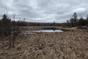 W6888 Co Rd K, Amberg, WI 54102 - Photo 10