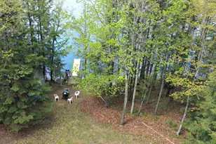 W16468 S Hilbert Dr, Armstrong Creek, WI 54103 - Photo 32