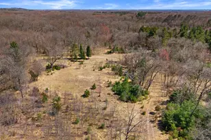 W4315 Brown Deer Ct, Redgranite, WI 54970 - Photo 24