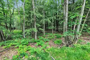297 Red Tail Ct, Sobieski, WI 54171 - Photo 50