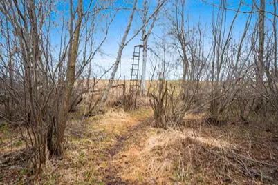 E5528 Hanson Road, Manawa, WI 54949 - Photo 48