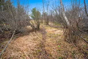 E5528 Hanson Rd, Manawa, WI 54949 - Photo 46