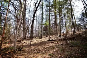 W8421 Bielak Rd, Wausaukee, WI 54177 - Photo 52