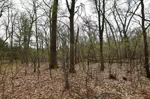 N4555 17th Dr, Wautoma, WI 54982 - Photo 26