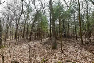 N4555 17th Dr, Wautoma, WI 54982 - Photo 32